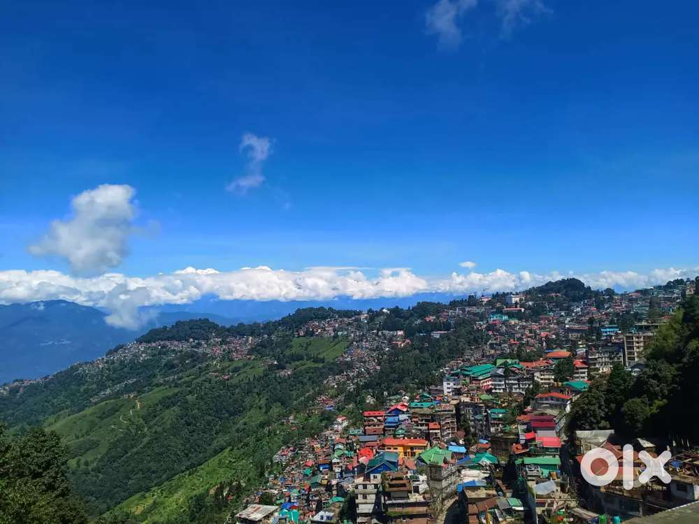 Your dream properties