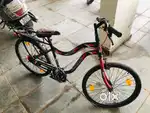 2 cycle sell