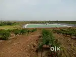 20 Acres Farming land available for ourtate for 35 Lacs Per Acres.