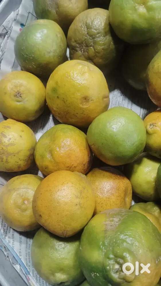 Need cook for guest house in berhampur