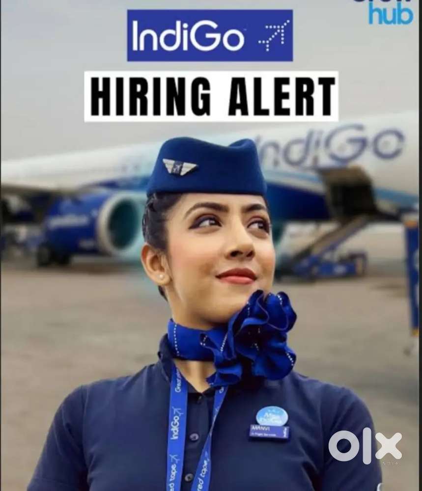 Job vacancy available in Indigo airline ground staff apply fast