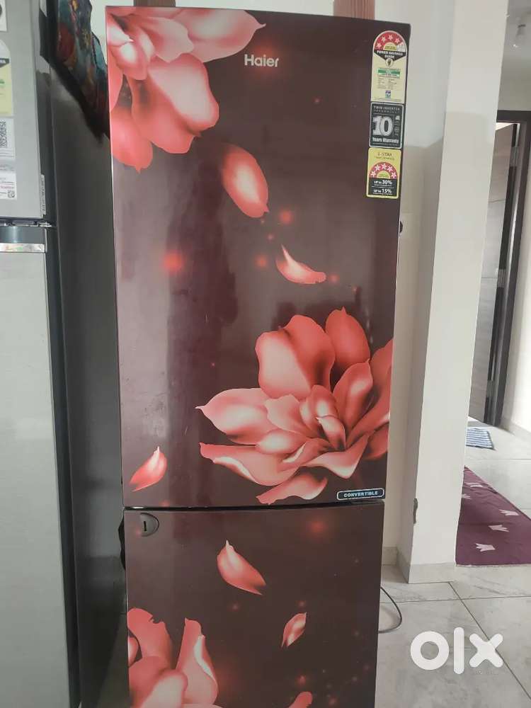 Haier Double Door 256 Lts Gr. Vol.