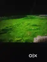 Land for sale in naspur