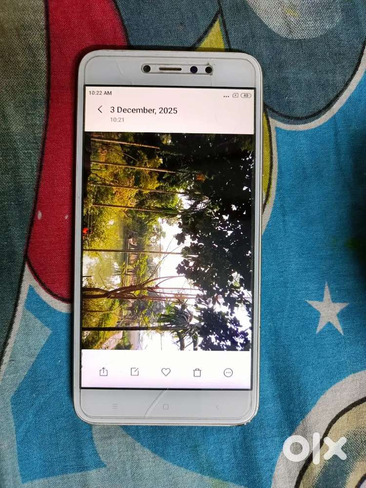Mi Redmi Y1