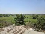 Farmhouse land -Khadol -Umeta