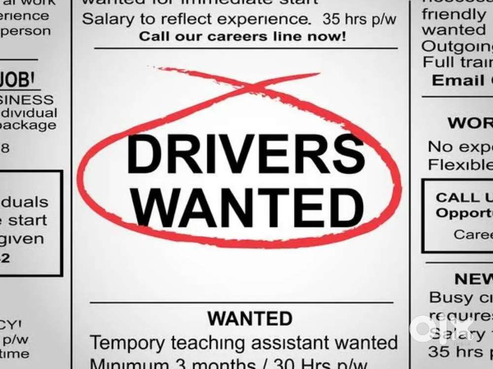 WANTED DRIVERS FOR TRAVELS WITH FOOD AND accomdation