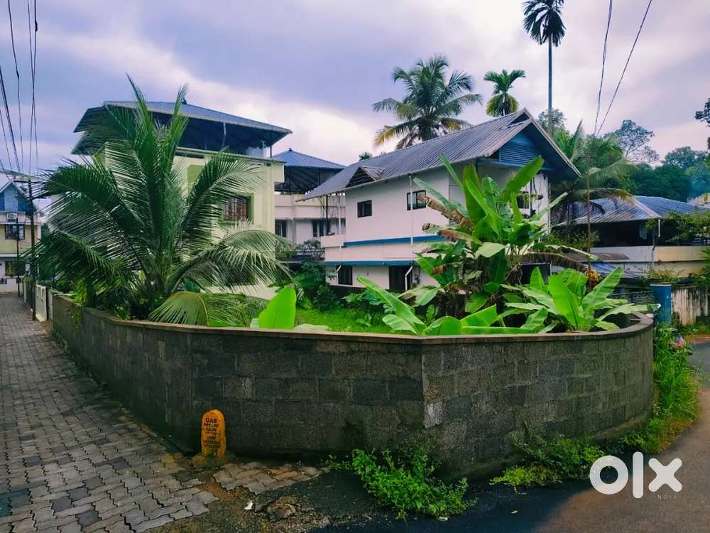 House plot 5 cnt Kakkanad Thevakkal 9 pr cnt Negotiable