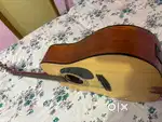 Guitar Cort Ad810