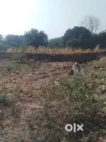 Uit converted plots