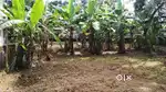 23 cents of fertile walled land