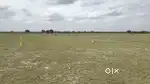 100 SQYDS PLOT near YADADRI 4LAKHS ONLY