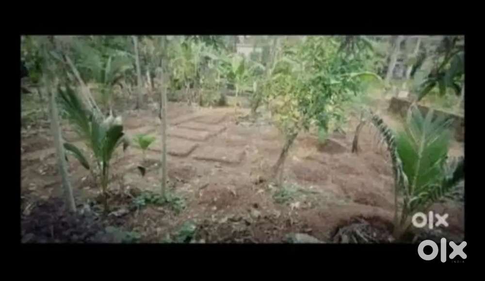 Plot for sale 9 ¾ cent   per cent 150000