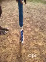 SS & SG bat