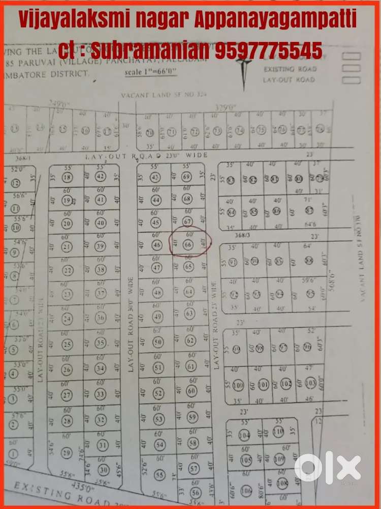 5.5 Cent immediate sale Appanayagamptyparuvai road vijayalaksmi nagar