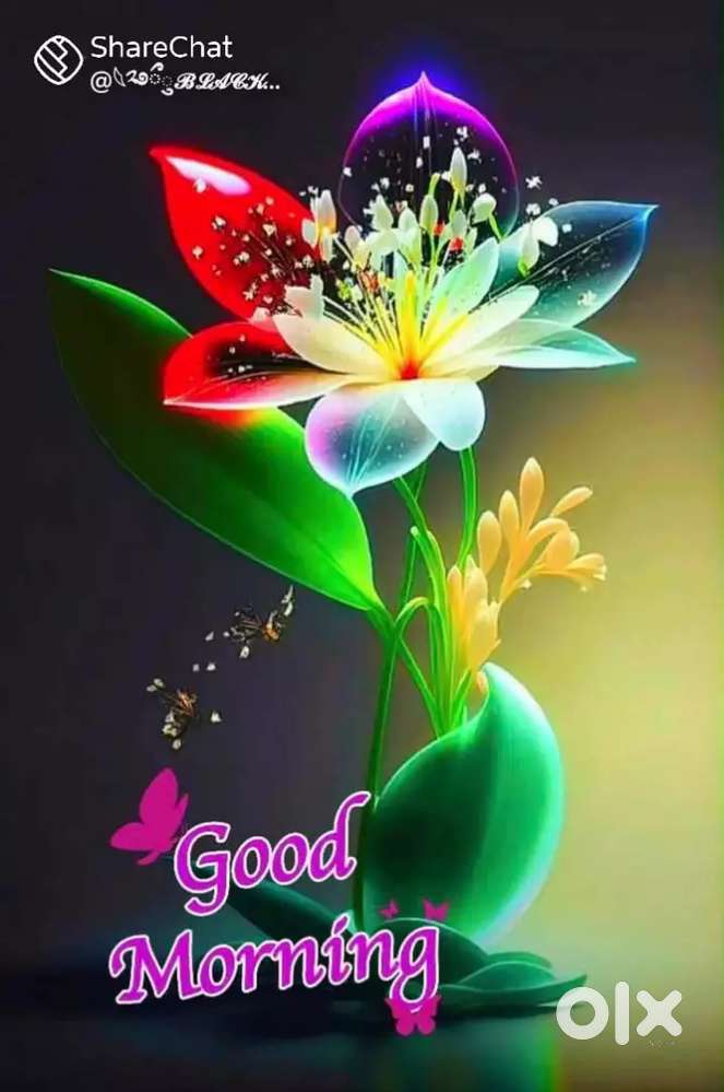 Need working women's hostel house keeping