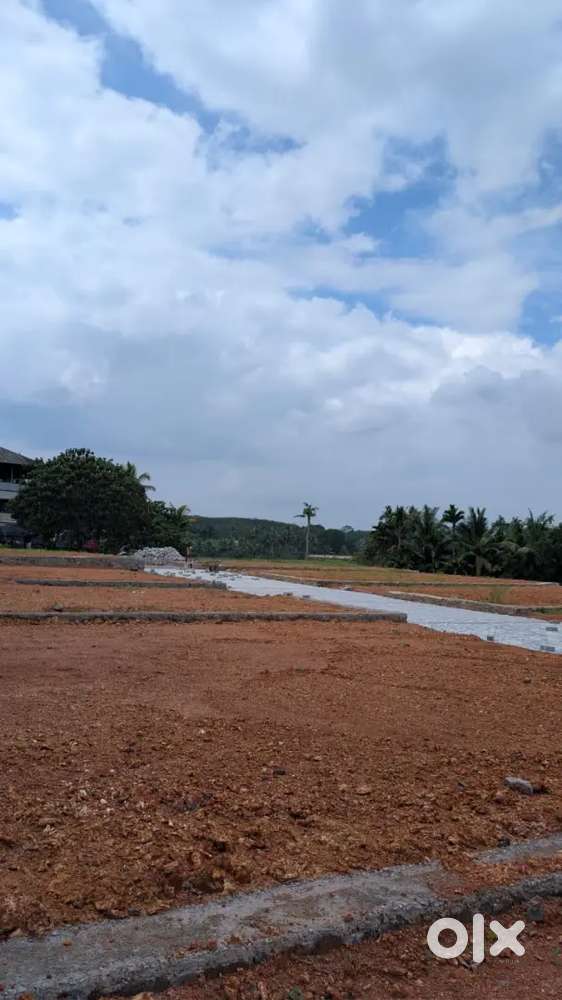 LAND FOR SALE  50 CENT/1&2 ACRE @ KALAMASSERY /KAKKANAD