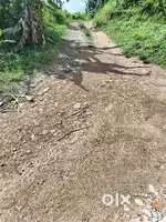 Godown സൗകര്യങ്ങളുള്ള 1 ഏക്കർ ഭൂമി