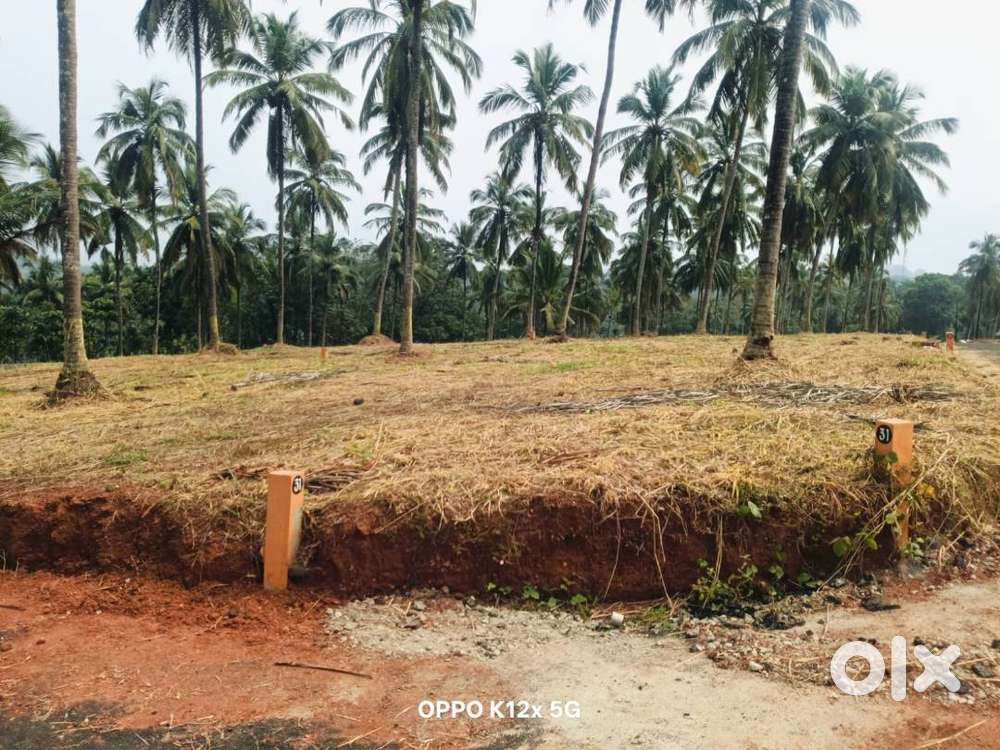 Residential plots for sale in Mannarkkad, Palakkad