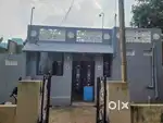 individual house for rent for bachelors