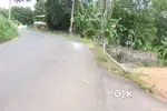 8.5 cents main road side at Ammancherry-Athirampuzha road 4.25 L/cent