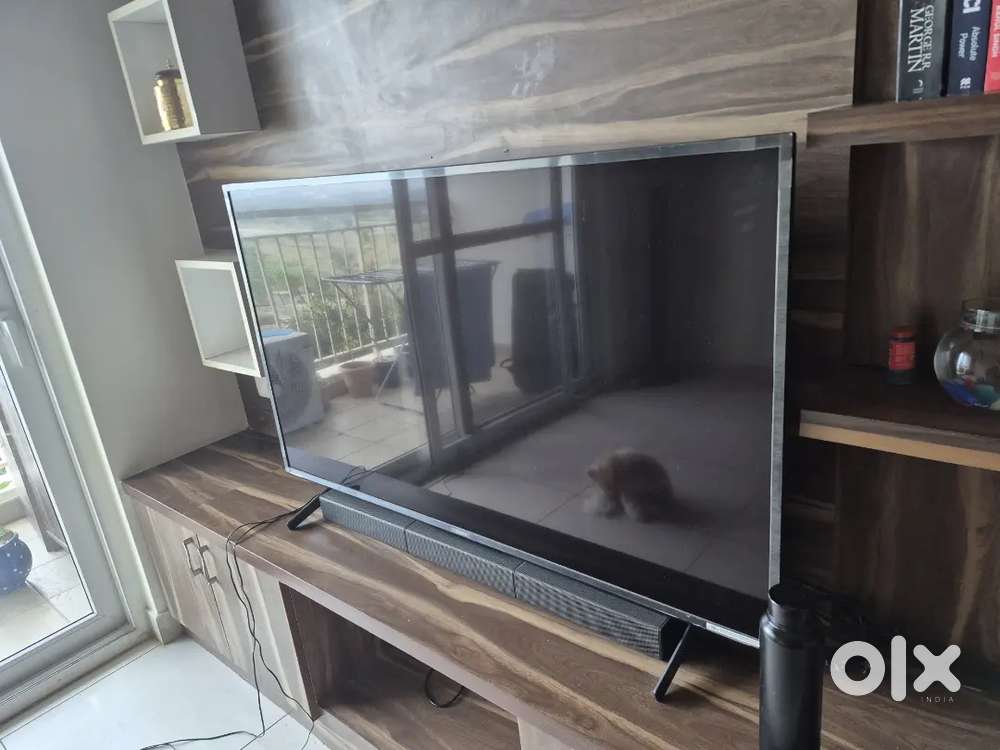 Sony TV with speakers