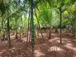 RESIDENTIAL LAND FOR SALE IN PERAMANGALAM