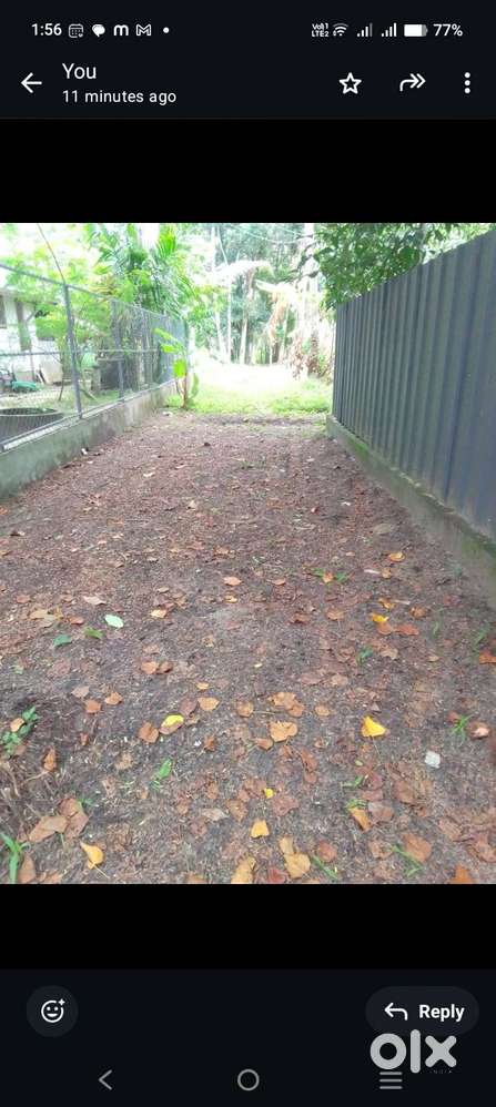 Land for sale in muthukulam purayidam