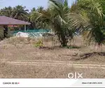INVESTMENT FARM LAND FOR SALE