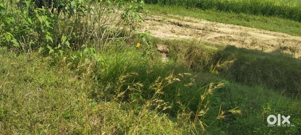 भविष्य में जमीन की कीमत बढने की सम्भावना पास से लिंक एक्सप्रेस वे आरहा