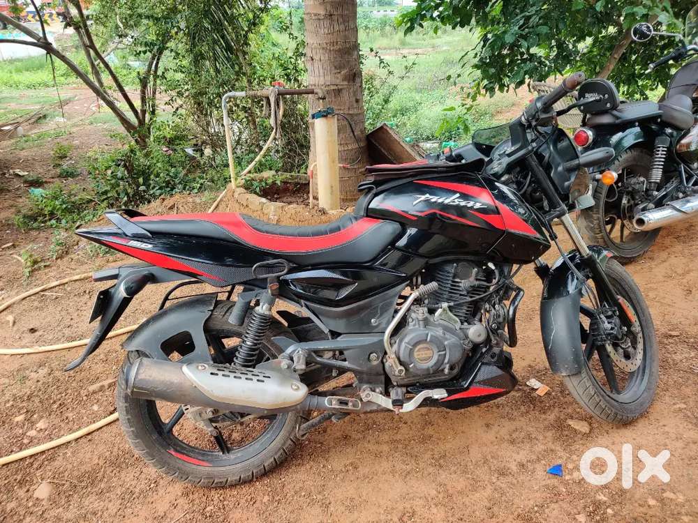 Pulsar 150 single disk in mint condition