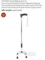 Walking stick