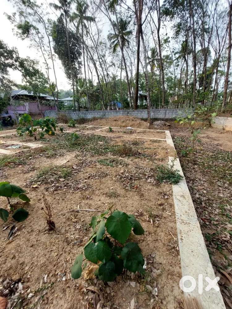 Plot for sale in venjaramoodu