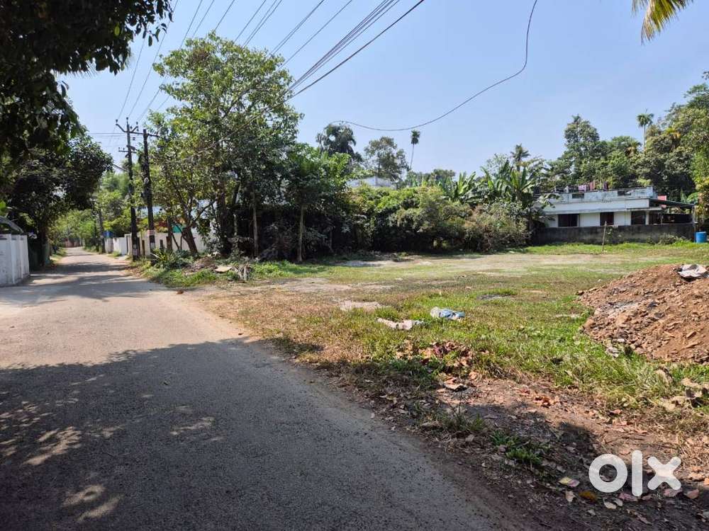 Residential Plot for Sale – Varapuzha, Muttinakam Road