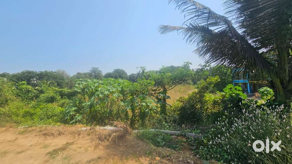 12 guntha land for sale road touch coastal highway