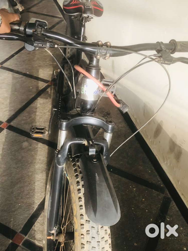 Fat e-bike under low price  rare e-bike under low price