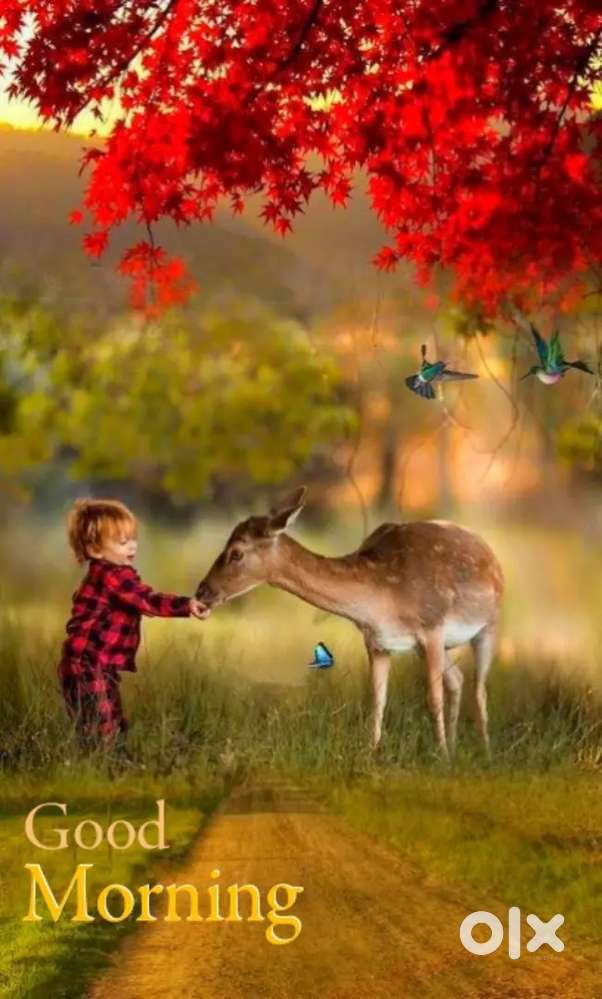 Driver and supervisor