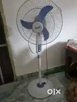 Stand Fan!