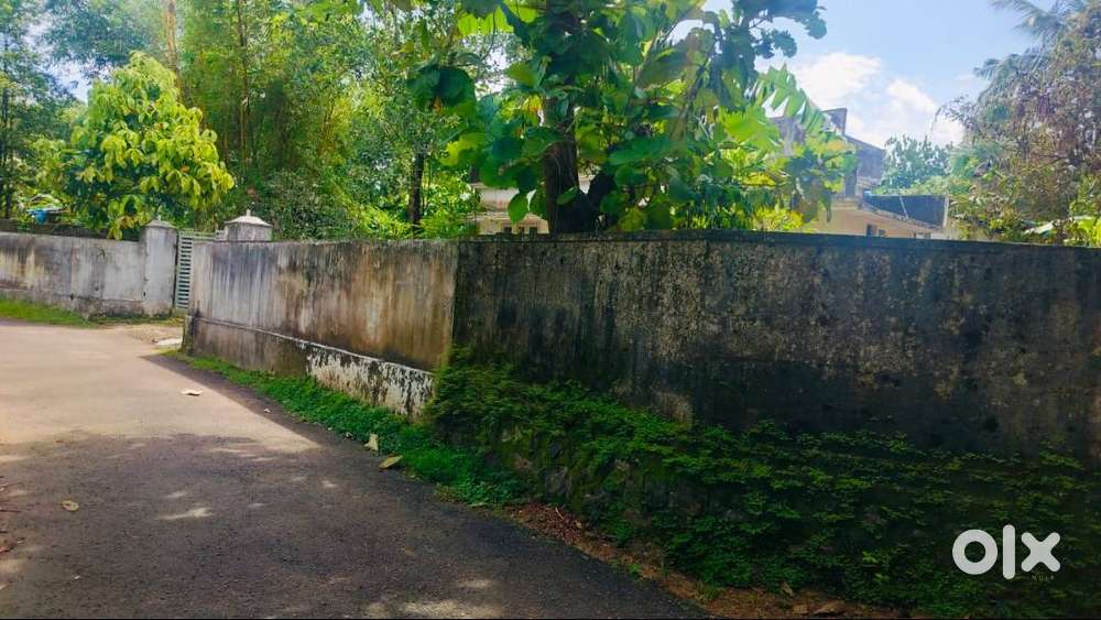 21 Cents of House Pot near Airport, Nedumbassery
