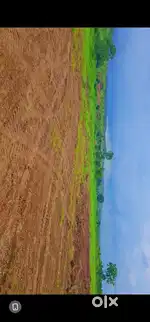 4 acre zameen bechna hai. clear title. naye gaon ke aage