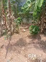 14.5 cent Plot for sale