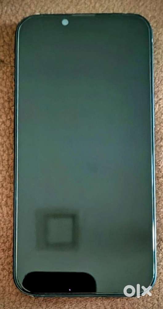 iPhone 13 neat maintenance