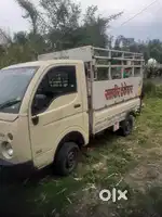 Tata ace gold