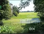 Urgent sale 2 and half kotha Miyadi Patta land at Sivsagar Gaurisagar.