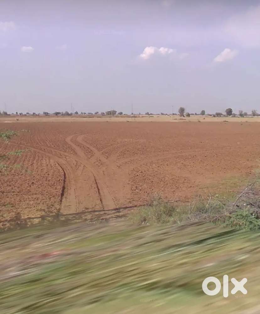 5 bhiga jamin bkau ha