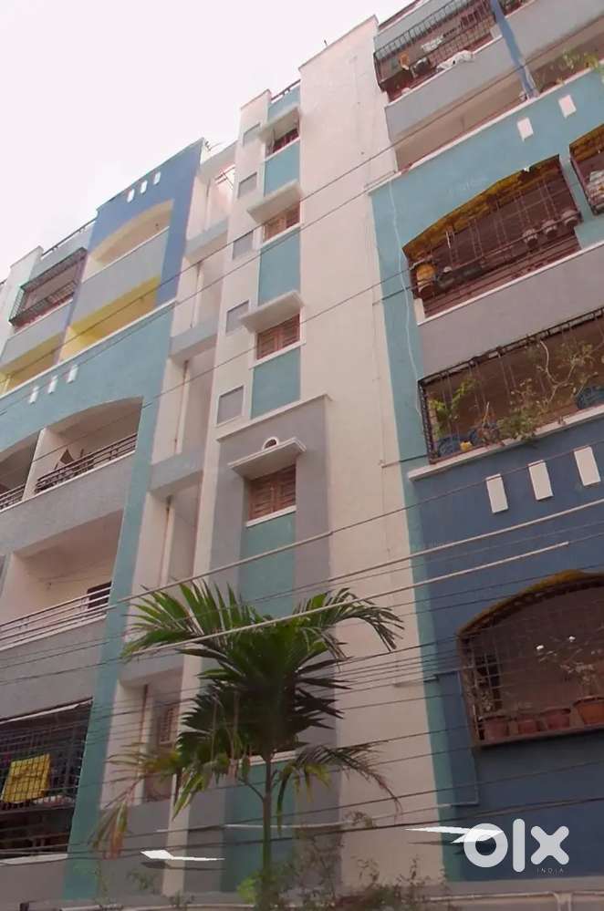 Flat no 406 5th floor Meenakshi residency 13yrs old