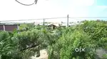Sale My farmhouse