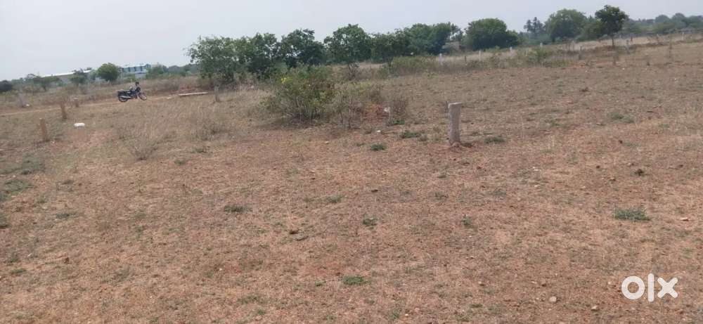 Plots for sale in Ariyavoor Othakadai