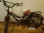 Two cycle s