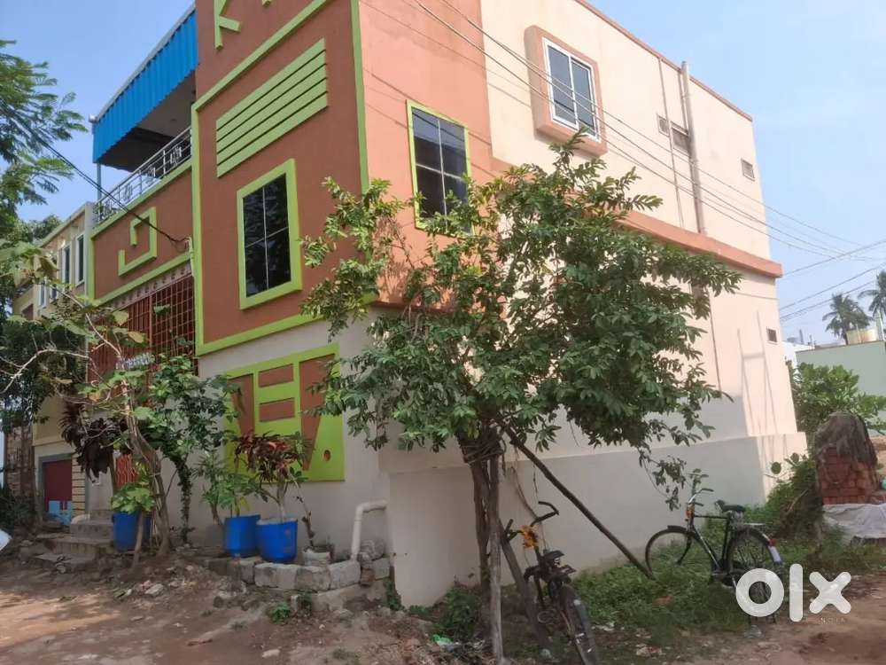 Srinagar colany pedapulipaka