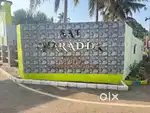 Global Realtor